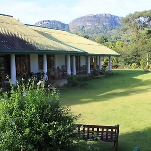 3* Bed & Breakfast Jungle Tide